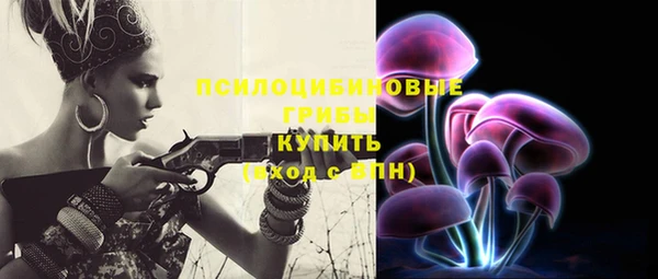 mdpv Дмитриев